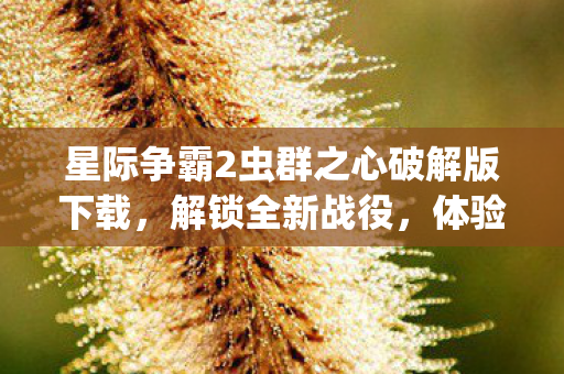 星际争霸2虫群之心破解版下载图片