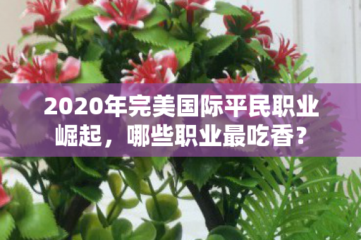 2020年完美国际平民职业崛起图片