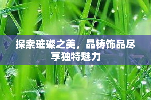 晶铸饰品尽享独特魅力图片