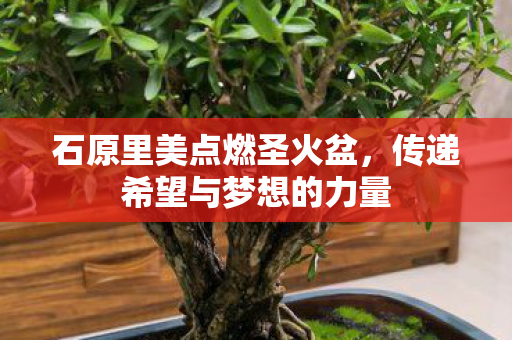 传递希望与梦想的力量图片