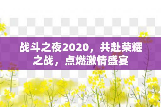 战斗之夜2020图片