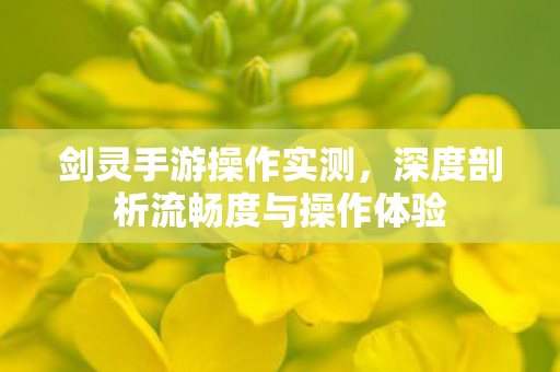 深度剖析流畅度与操作体验图片