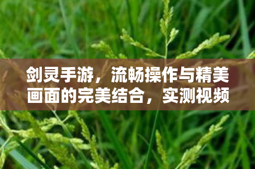 流畅操作与精美画面的完美结合图片