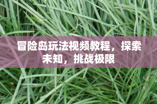 冒险岛玩法视频教程图片