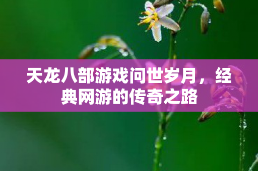 天龙八部游戏问世岁月图片