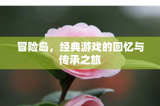 经典游戏的回忆与传承之旅图片