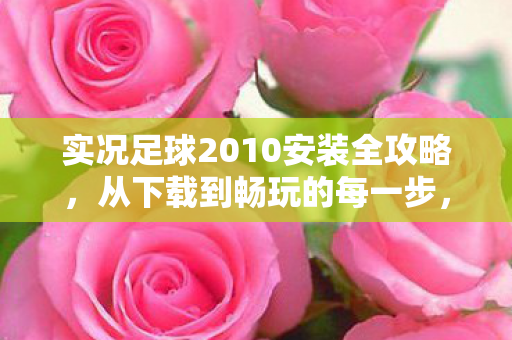 实况足球2010安装全攻略图片