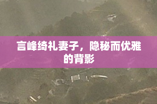 隐秘而优雅的背影图片