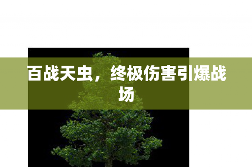终极伤害引爆战场图片