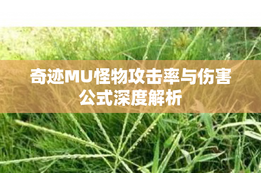 奇迹MU怪物攻击率与伤害公式深度解析图片