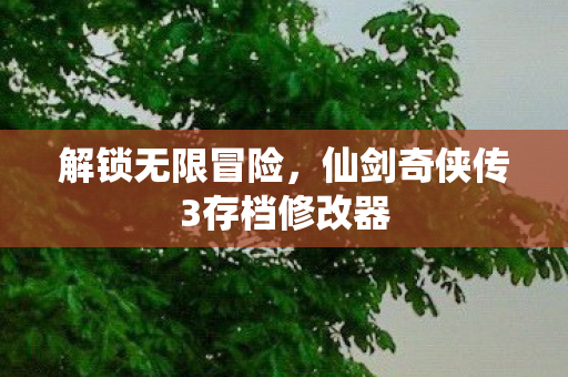 仙剑奇侠传3存档修改器图片