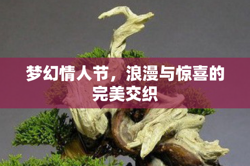 梦幻情人节,浪漫与惊喜的完美交织 梦幻情人节,浪漫与惊喜的完美交织
