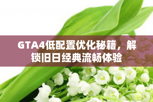 GTA4低配置优化秘籍图片