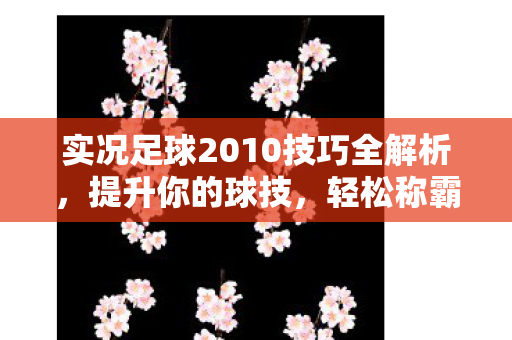 实况足球2010技巧全解析图片