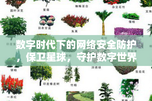 数字时代下的网络安全防护图片