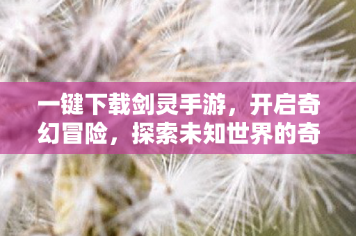 探索未知世界的奇妙之旅图片