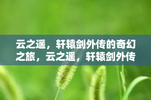 轩辕剑外传的奇幻之旅图片