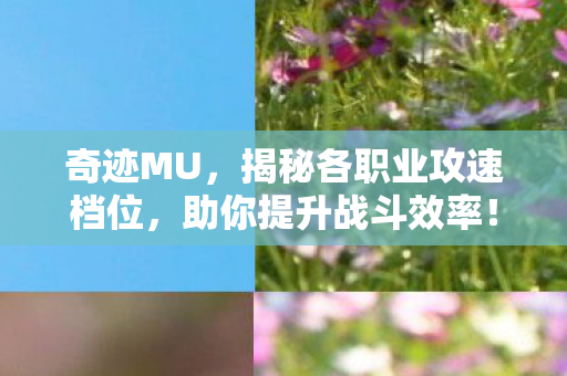 揭秘各职业攻速档位图片