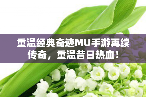 重温经典奇迹MU手游再续传奇图片