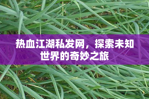 探索未知世界的奇妙之旅图片