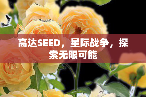 高达SEED图片