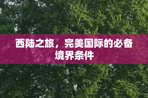 完美国际的必备境界条件图片