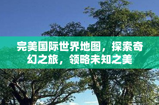 完美国际世界地图，探索奇幻之旅，领略未知之美