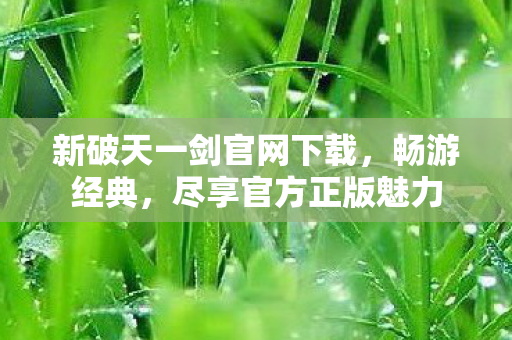 新破天一剑官网下载图片