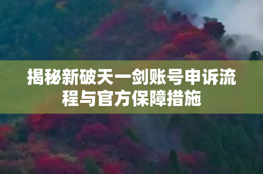 揭秘新破天一剑账号申诉流程与官方保障措施图片