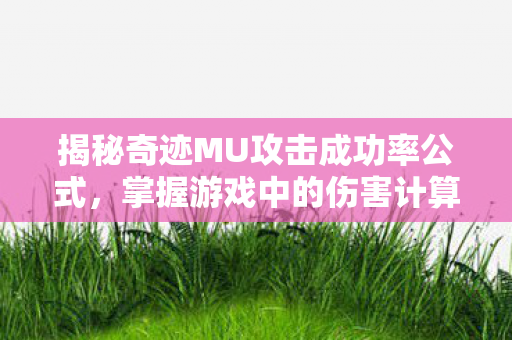 揭秘奇迹MU攻击成功率公式图片
