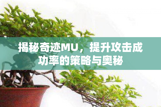 提升攻击成功率的策略与奥秘图片