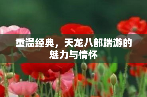 天龙八部端游的魅力与情怀图片
