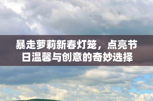 点亮节日温馨与创意的奇妙选择图片