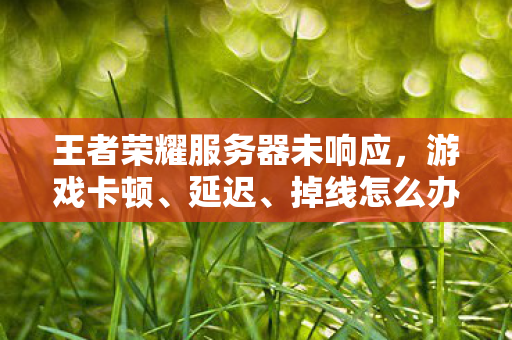王者荣耀服务器未响应图片