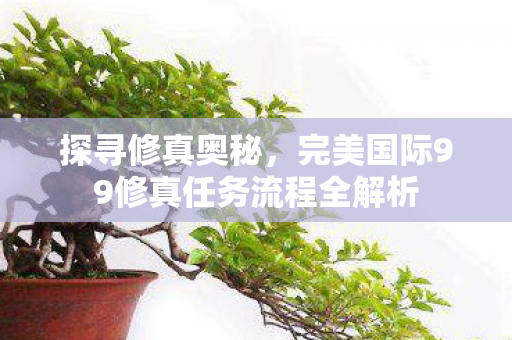 完美国际99修真任务流程全解析图片