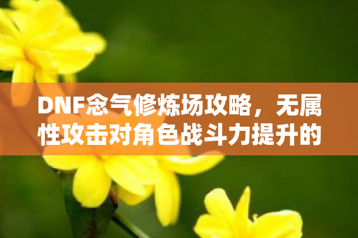 无属性攻击对角色战斗力提升的重要性图片