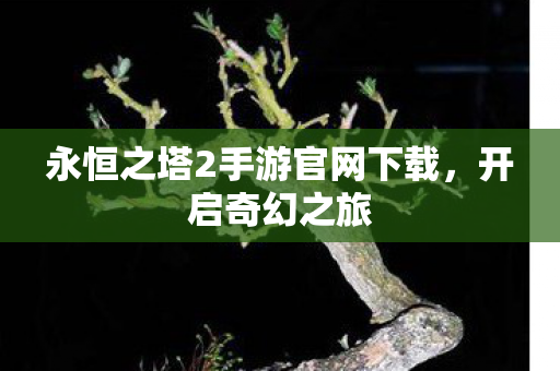 永恒之塔2手游官网下载图片