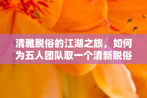 如何为五人团队取一个清新脱俗的名字图片