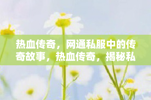 网通私服中的传奇故事图片