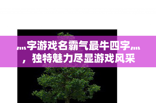 灬字游戏名霸气最牛四字灬图片