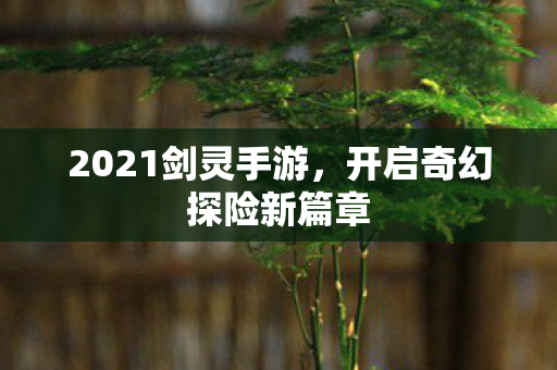 开启奇幻探险新篇章图片