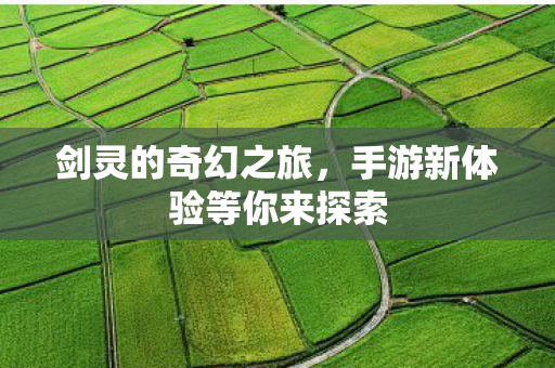 手游新体验等你来探索图片