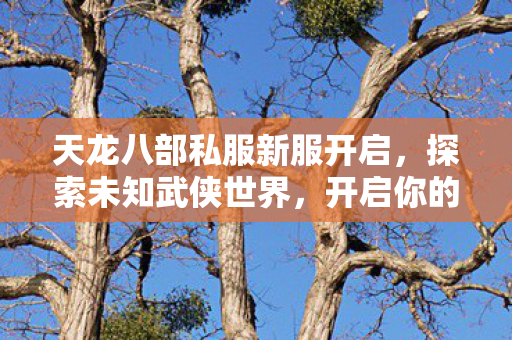天龙八部私服新服开启图片