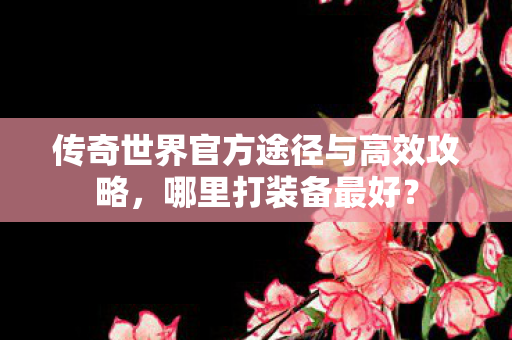 传奇世界官方途径与高效攻略图片