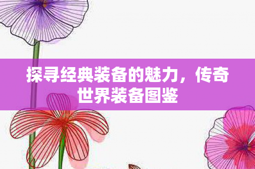 探寻经典装备的魅力图片