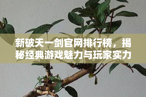 揭秘经典游戏魅力与玩家实力巅峰图片