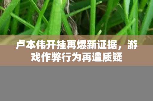 卢本伟开挂再爆新证据图片