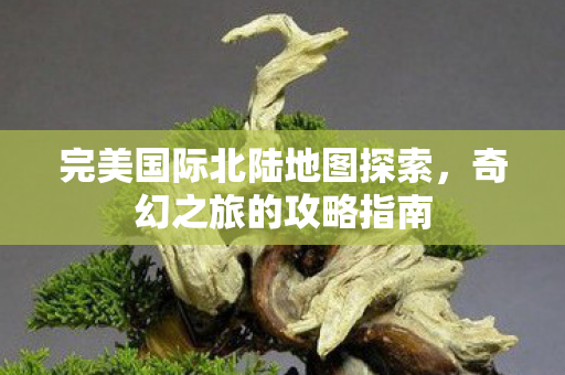 完美国际北陆地图探索图片