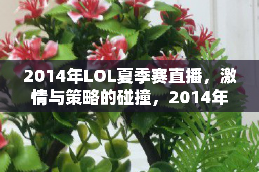 2014年LOL夏季赛直播图片