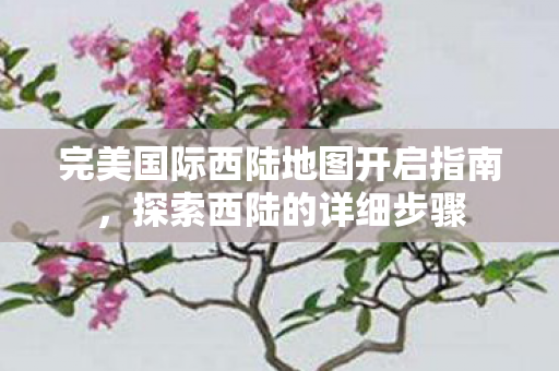 完美国际西陆地图开启指南图片